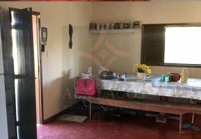 Design sem nome - 2026-05-01T165026.009